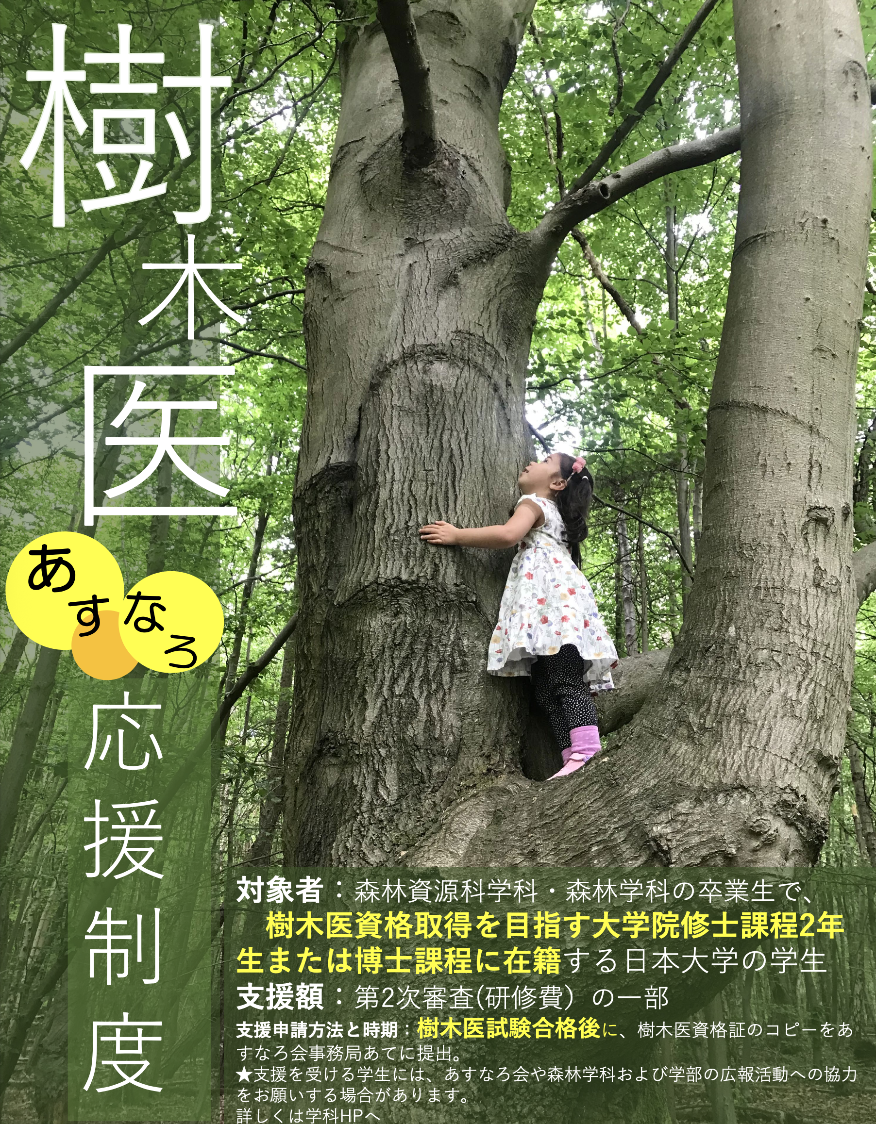 ひだびと 全10巻 飛騨考古土俗学会 歴史図書出版 2025年最新】Yahoo!