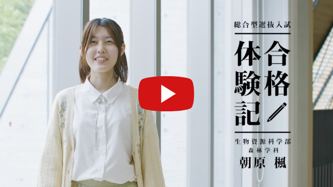 合格体験記